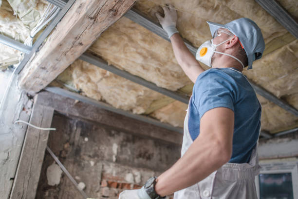 Best Specialty Insulation in Fowlkes, TN